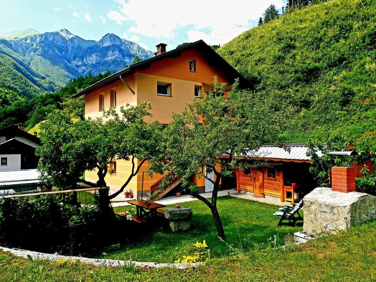 Apartment And Garden House Among The Mountains Podbrdo Exterior foto